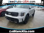 KIA Telluride EX X-Line  used cars market