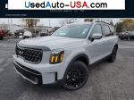 KIA Telluride SX X-Line  used cars market