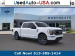 Ford F-150 XLT  used cars market